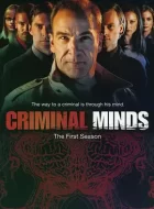 犯罪心理 Criminal Minds 1-15季 [9分]