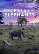 大象的秘密 Secrets of the Elephants Season1 [2023]