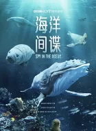 海洋间谍 (2023)