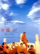 阳光灿烂的日子 (1994)(8.8分)