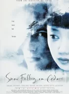 落在香杉树的雪花 (1999)(7.5分)