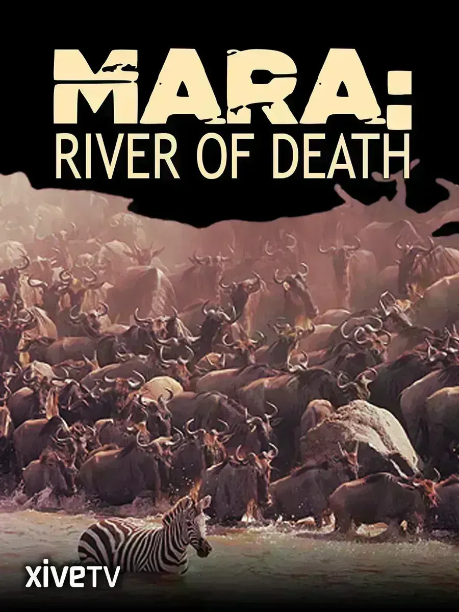 马拉：生命之河 Mara：River of Death的海报