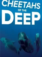 深海猎豹 Cheetahs of the Deep