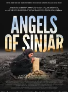 辛贾尔的天使 Angels of Sinjar[纪录片]