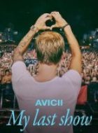 谢幕演出：电音奇才艾维奇 Avicii – My Last Show (2024)